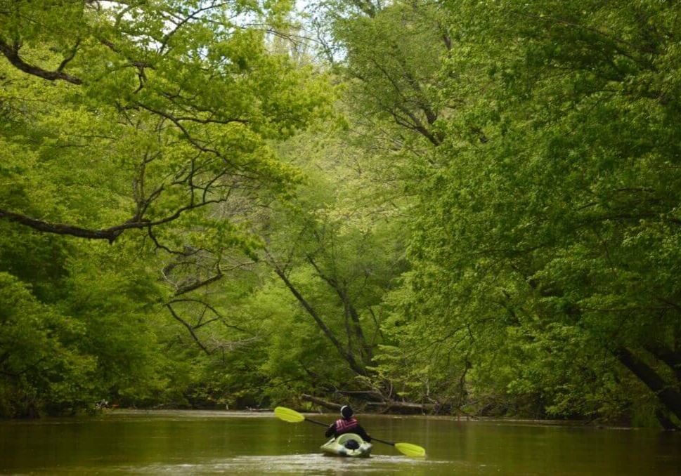 Paddlers on Tallapoosa River